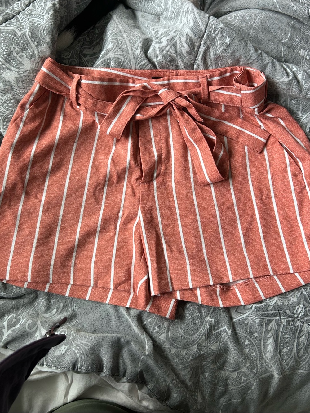 Banana Republic Rust-Striped High Waist Paperbag Shorts - Picture 1 of 4